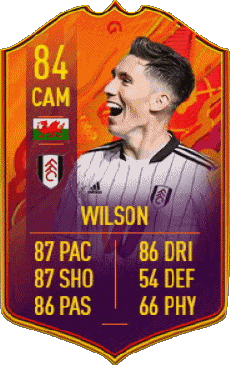 Multi Media Video Games F I F A - Card Players Wales Harry Wilson 