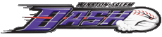 Sports Baseball U.S.A - Carolina League Winston-Salem Dash 