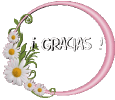 Mensajes Español Gracias 008 