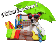 Messages Spanish Felices Vacaciones Transparent Background 11 