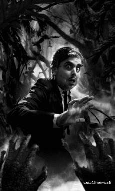 Humor -  Fun 3d Effects Stéreoscopique Wiggle 