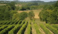 Humour - Fun Transports Motos Cross Fun Win 