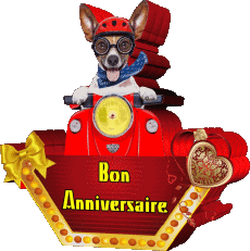 Mensajes Francés Bon Anniversaire Animaux 010 