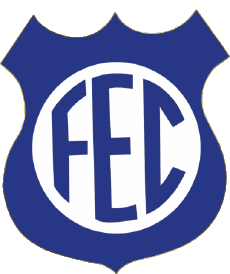 Sports Soccer Club America Logo Brazil Minas Gerais Formiga Esporte Clube 