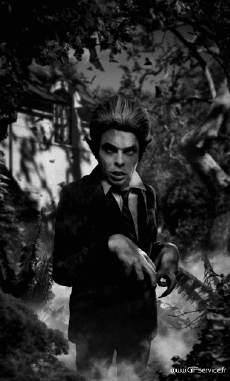 Humor - Fun Efectos 3d Stéreoscopique Wiggle 