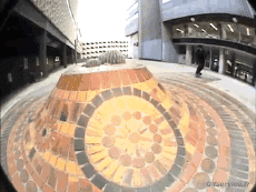 Humor -  Fun Sport Skateboard Free Style Fun - Win 01 