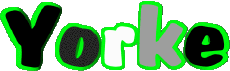 Nombre MASCULINO - UK - USA - IRL - AUS - NZ Y Yorke 