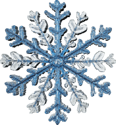 Nachrichten Französisch Joyeuses Fêtes (Noël) Serie 21 