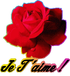 Messages Français Je T'aime 01 