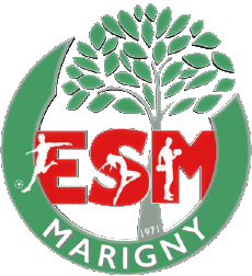 Sports FootBall Club France Logo Centre-Val de Loire 45 - Loiret ESM Entente Sportive Marigny 