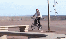 Humor -  Fun Sports BMX Fun Win 