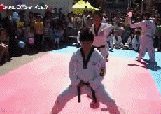 Humor -  Fun Sports Martial Arts Gamelle - Fail 