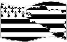 Drapeaux France Régions Bretagne Rectangle 