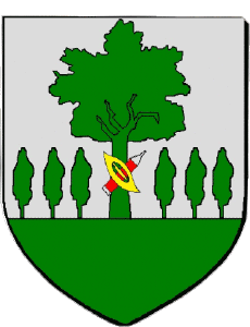 Banderas Francia Departamentos - Ciudades 94 VITRY SUR SEINE 