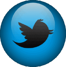 Multi Média Informatique - Internet Twitter 