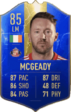 Multi Media Video Games F I F A - Card Players Ireland Aiden McGeady 
