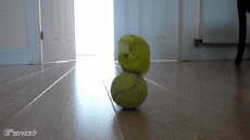 Humor - Fun Animales Pájaros Loro Peruche 