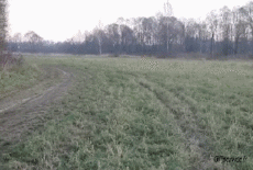 Humor -  Fun Transport Autos Accident  Fail 