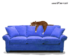 Humor -  Fun Animals Dogs 02 