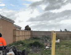 Humor -  Fun Animals Kangaroos 01 