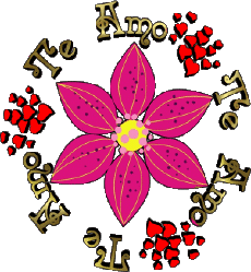 Messages Spanish Te Amo 01 