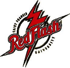 Sportivo N C A A - D1 (National Collegiate Athletic Association) S Saint Francis Red Flash 