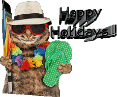 Messages English Happy Holidays Transparent Background 30 