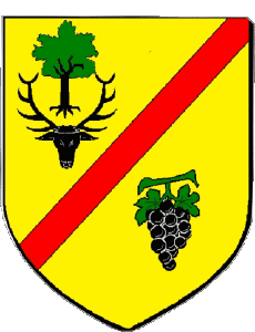 Bandiere Francia Dipartimenti - Città 41 MONT PRES CHAMBORD 