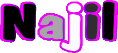 Prénoms MASCULIN - Maghreb Musulman N Najil 
