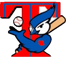Sportivo Baseball Baseball - MLB Toronto Blue Jays 