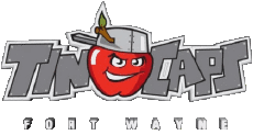 Sport Baseball U.S.A - Midwest League Fort Wayne TinCaps 