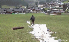 Humor -  Fun Sports Ski Fail Various 