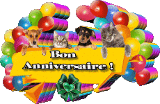 Messages Français Bon Anniversaire Animaux 007 