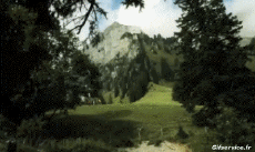 Humor -  Fun Sport Fallschirmspringen Wingsuit Berg 