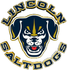 Deportes Béisbol U.S.A - A A B Lincoln Saltdogs 