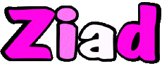 Nombre MASCULINO - Magreb Musulmán Z Ziad 