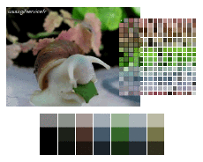 Humor -  Fun Animals Snails 01 