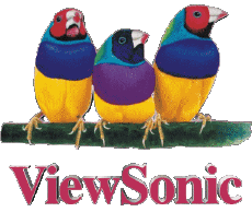 Multimedia Video TV - Hardware ViewSonic 