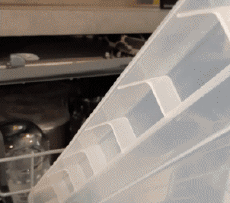 Humor -  Fun Animals Snakes 01 