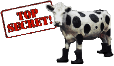 Multi Media Movies International Top Secret Logo 