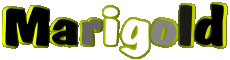 Nombre FEMENINO - UK - USA - IRL - AUS - NZ M Marigold 