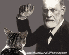 Humor -  Fun Tiere Katze 01 