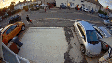 Humor -  Fun Transport Cars Accident  Fail 02 