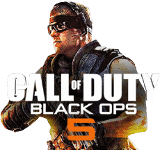 Multi Média Jeux Vidéo Call of Duty Black Ops 5 