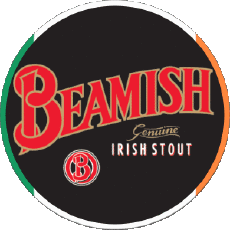 Bevande Birre Irlanda Beamish 