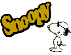 Multi Media Comic Strip - USA Snoopy 