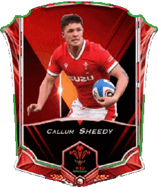 Sportivo Rugby - Giocatori Galles Callum Sheedy 