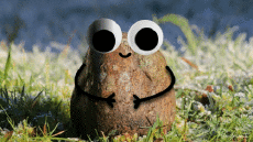 Humor -  Fun GIF Artists @Eclectech 