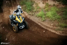 Humour - Fun Transports Quad Fun - Win 