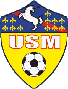 Sports Soccer Club France Auvergne - Rhône Alpes 03 - Allier US Malicorne 